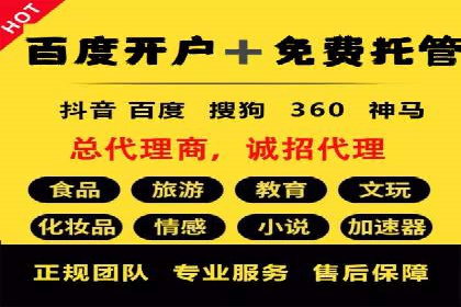 SEM托管服务，成功案例分享转化秘诀